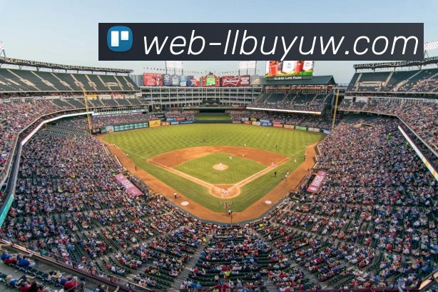 乐乐捕鱼:全球精品休闲竞技资讯与实时数据交互门户品牌故事